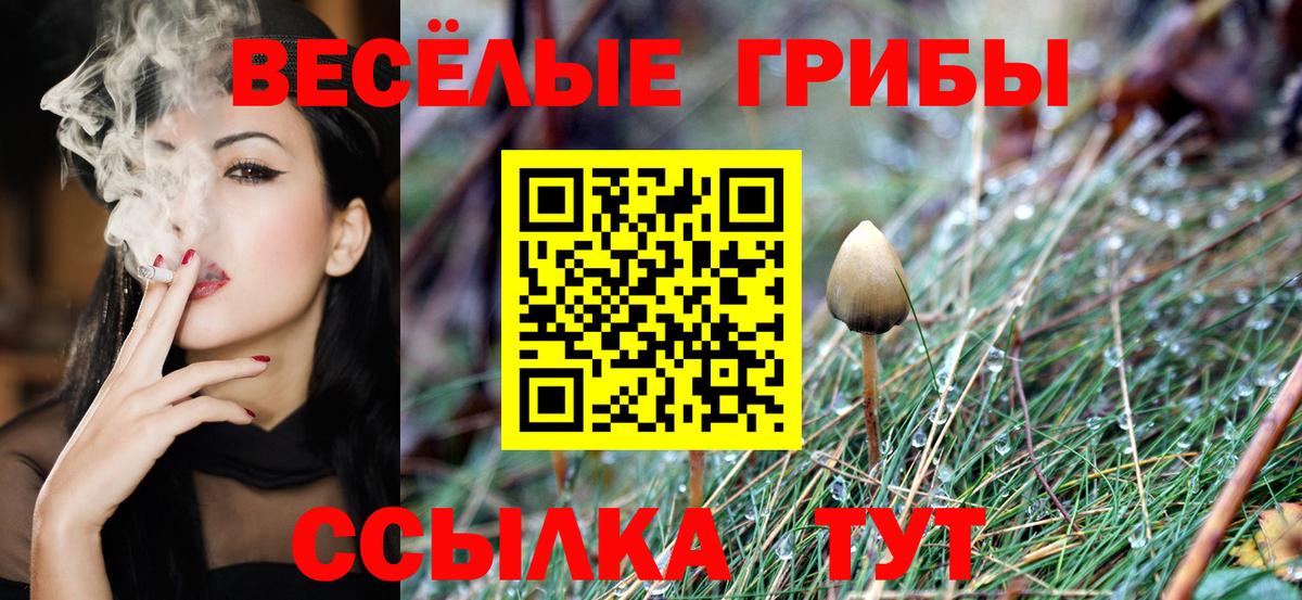 Обь  Псилоцибиновые грибы прущие грибы  Вход с VPN 
