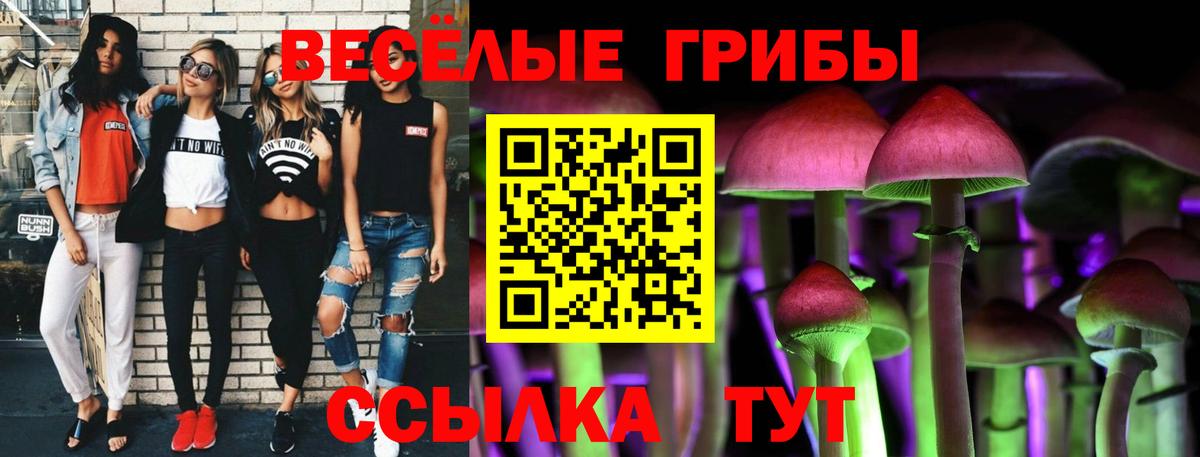 Псилоцибиновые грибы Magic Shrooms Обь